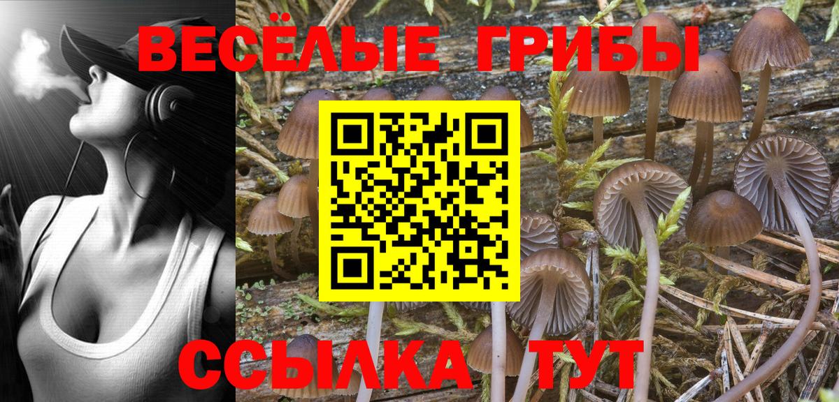 Псилоцибиновые грибы MAGIC MUSHROOMS Воткинск