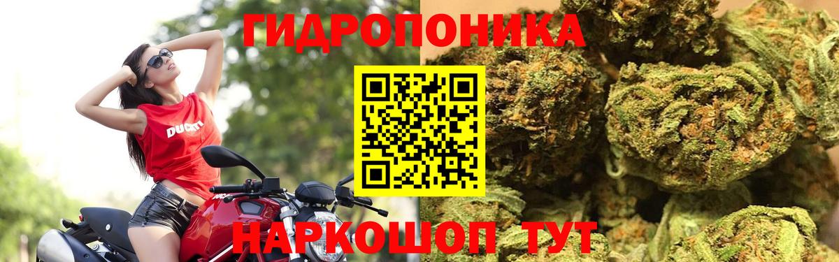 Бошки марихуана планчик  Марихуана SATIVA & INDICA  Шишки марихуана ГИДРОПОН  Вход с VPN  Воткинск 
